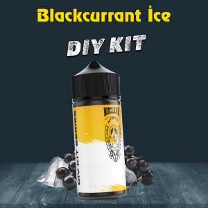 Blackcurrant İce Dıy-Kit Aroma Drif Series
