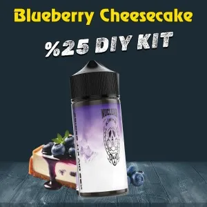 %25 Blueberry Cheesecake Yüksek Aroma Dıy-Kit Drif Series